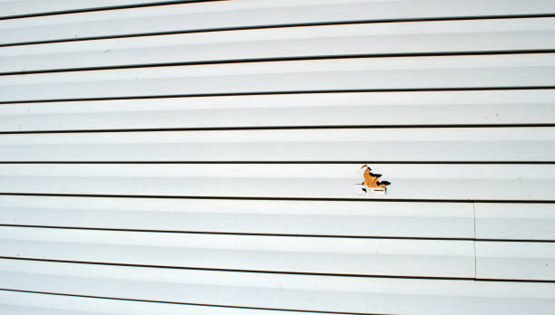 Siding Removal and Disposal in Terry, MS